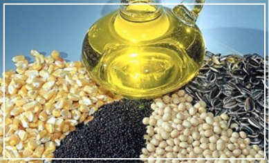 Grain, oil-plant and seed oil
