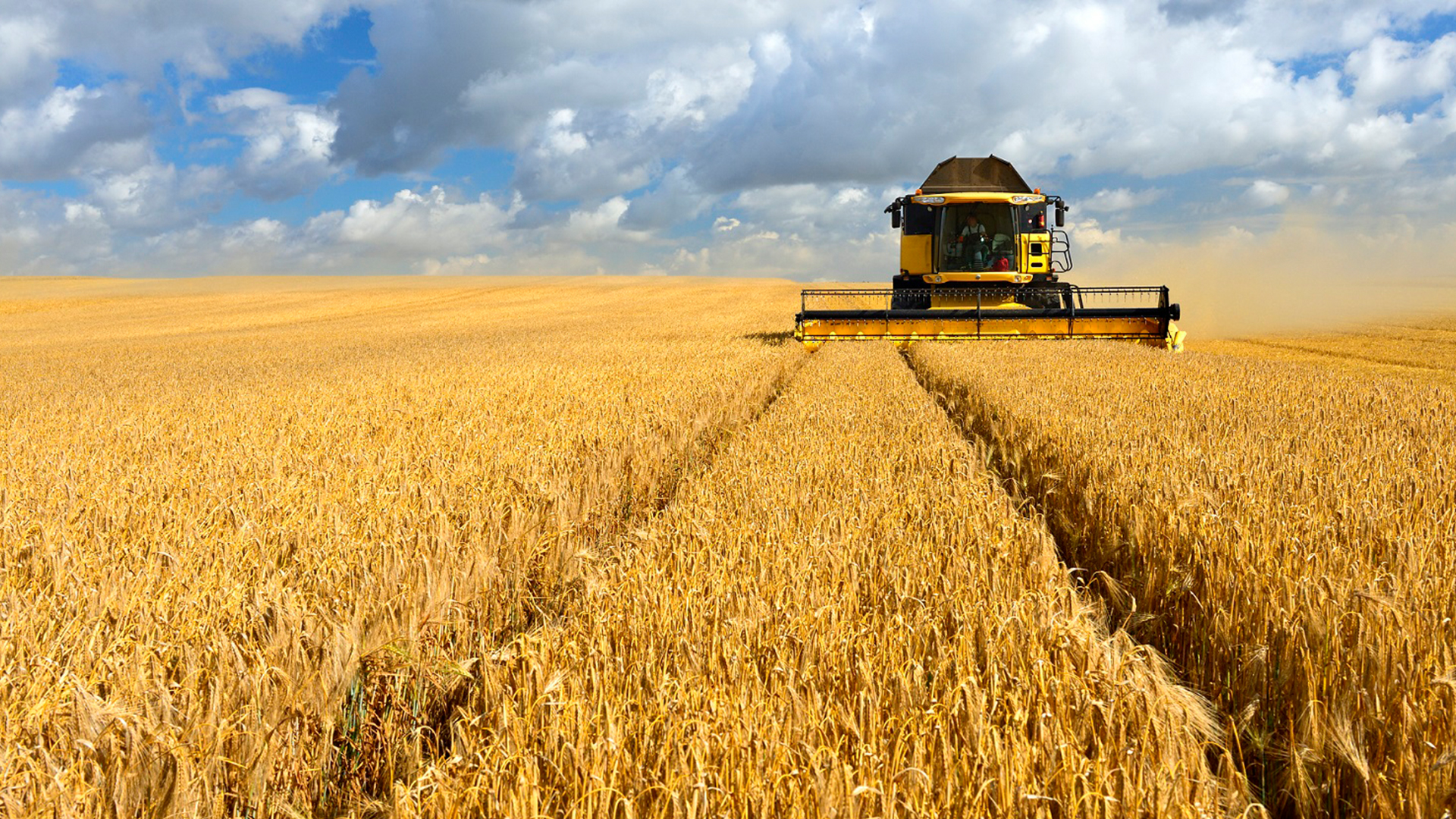 Russian grain exports grew by 40% in May